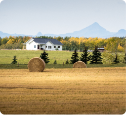 Home Care Cochrane