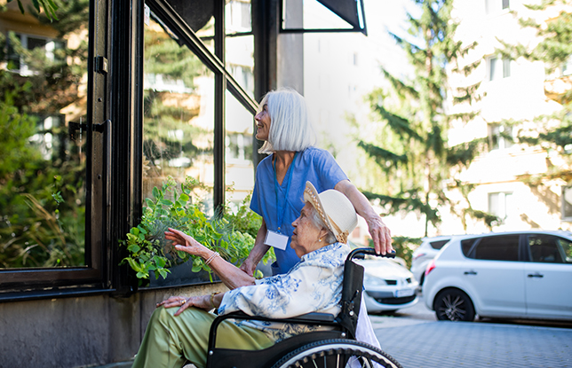Transportation Services